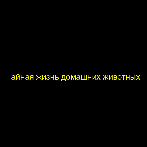 Тайная жизнь домашних животных