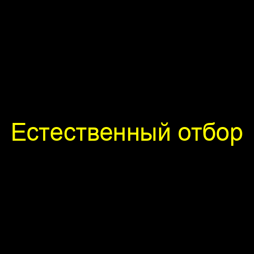 Естественный отбор