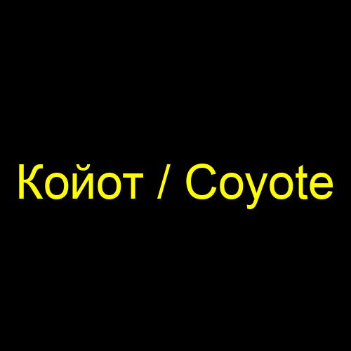 Койот / Coyote