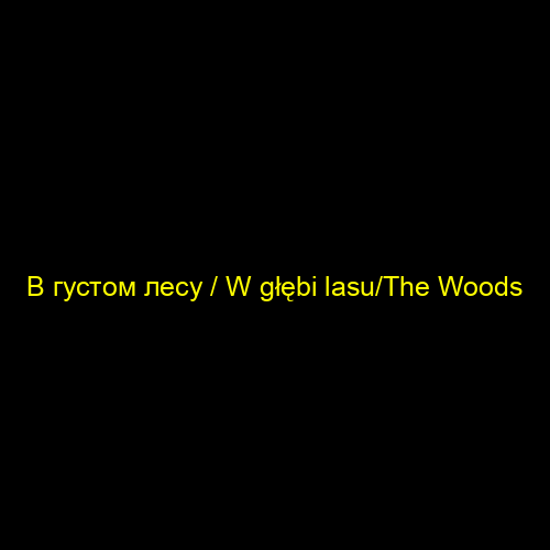 В густом лесу / W głębi lasu/The Woods