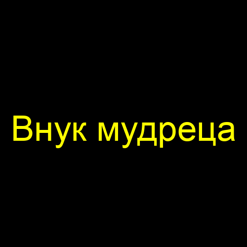 Внук мудреца