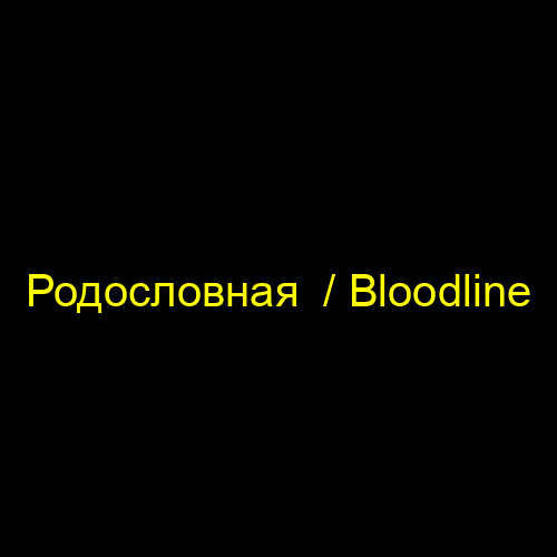 Родословная / Bloodline