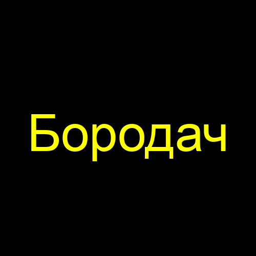 Бородач
