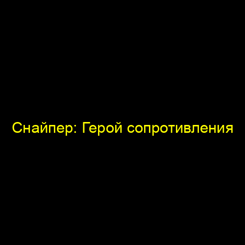 Снайпер: Герой сопротивления