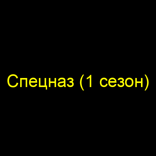 Спецназ (1 сезон)