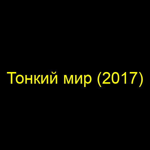 Тонкий мир (2017)
