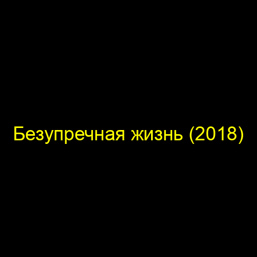 Безупречная жизнь (2018)