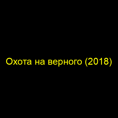 Охота на верного (2018)